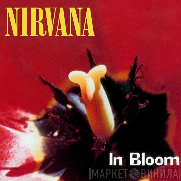 Nirvana  - In Bloom