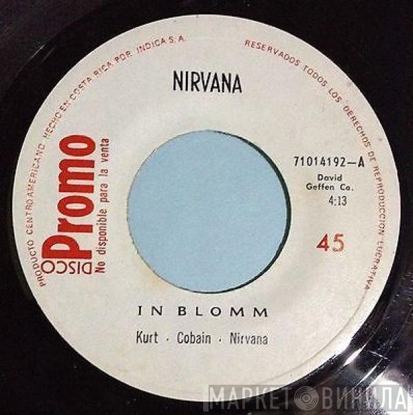 Nirvana  - In Bloom