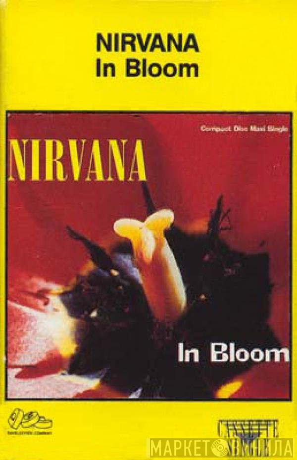 Nirvana  - In Bloom