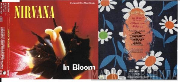 Nirvana  - In Bloom