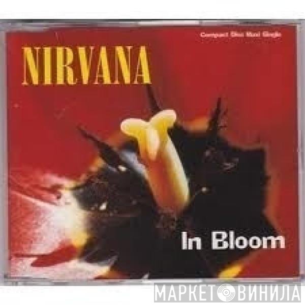 Nirvana  - In Bloom
