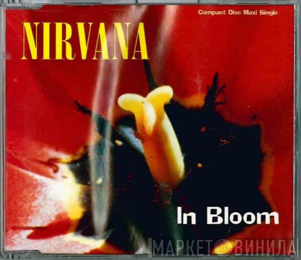 Nirvana  - In Bloom