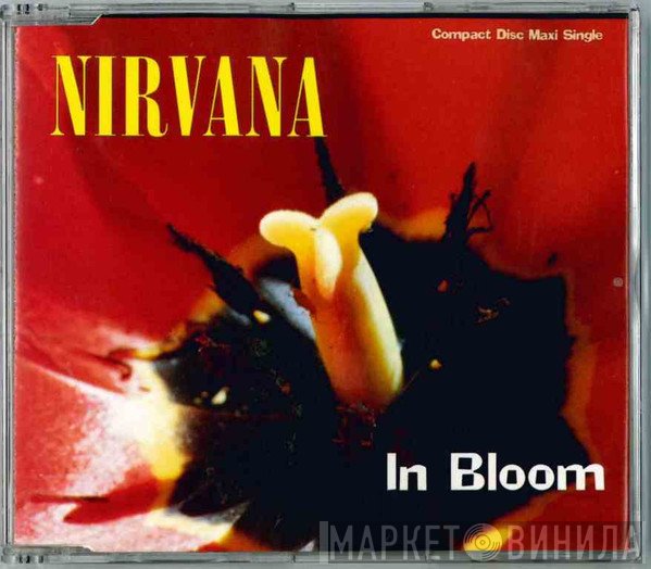 Nirvana  - In Bloom