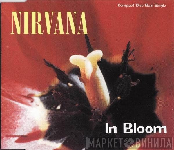Nirvana  - In Bloom