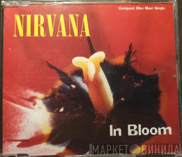 Nirvana  - In Bloom