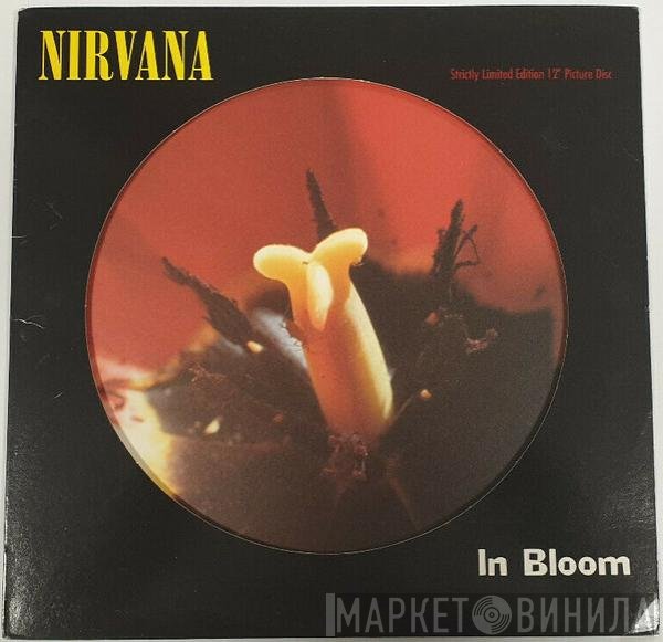 Nirvana  - In Bloom