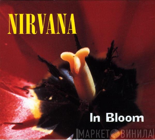 Nirvana  - In Bloom