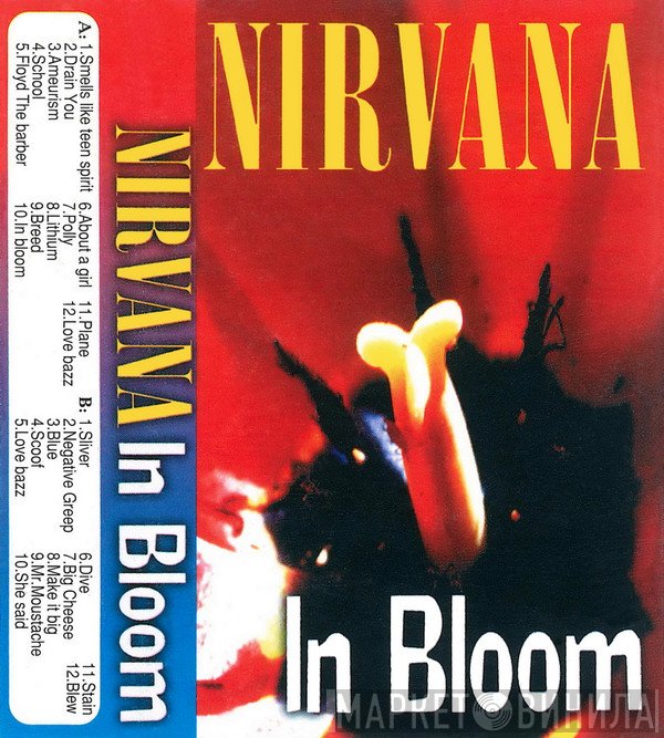 Nirvana  - In Bloom