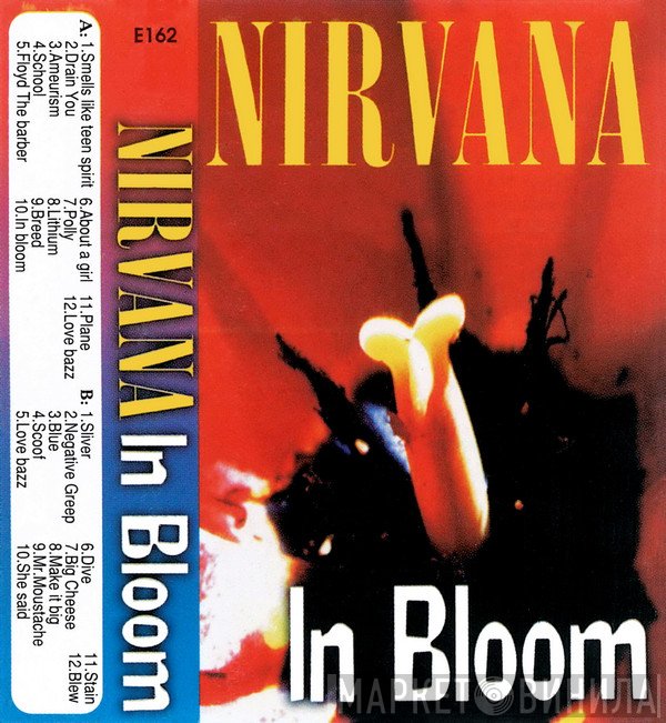 Nirvana  - In Bloom