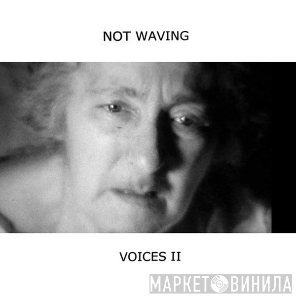 Not Waving - Voices II