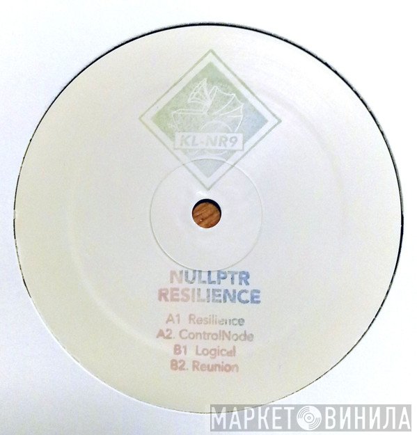 Nullptr  - Resilience