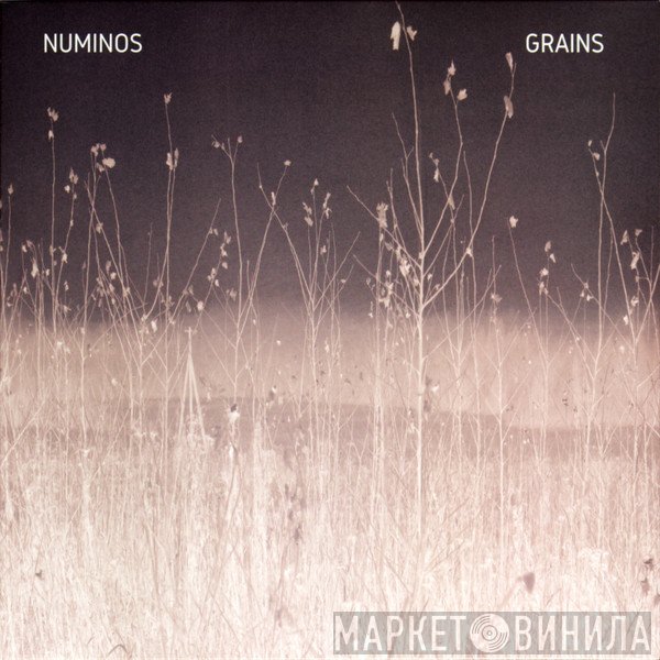 Numinos - Grains