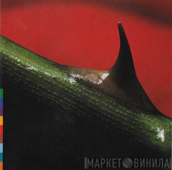 Nusrat Fateh Ali Khan & Michael Brook  - Night Song