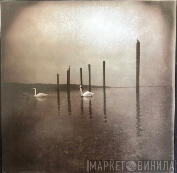 OM  - Conference Of The Birds