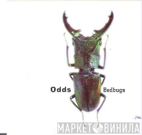 Odds  - Bedbugs
