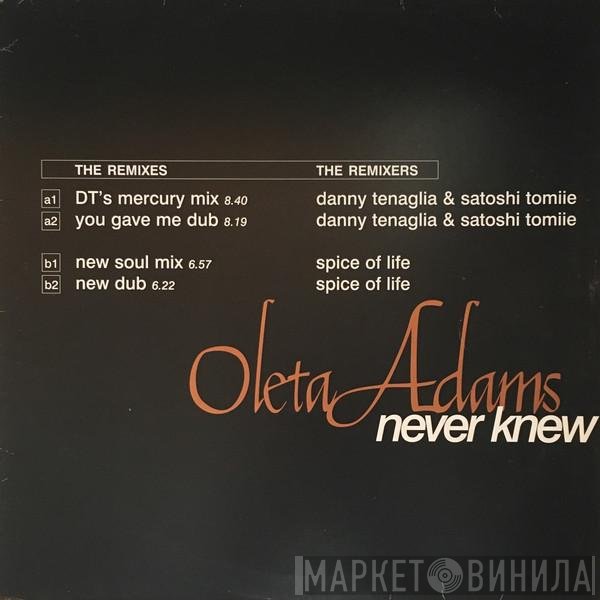 Oleta Adams - Never Knew