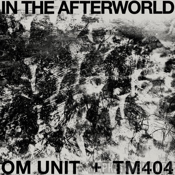 Om Unit + TM404  - In The Afterworld