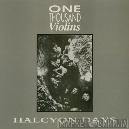 One Thousand Violins - Halcyon Days