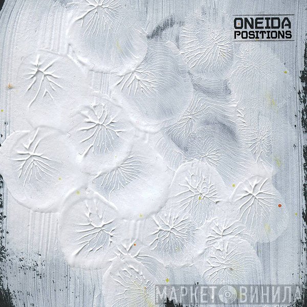 Oneida  - Positions