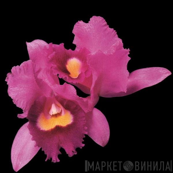 Opeth  - Orchid