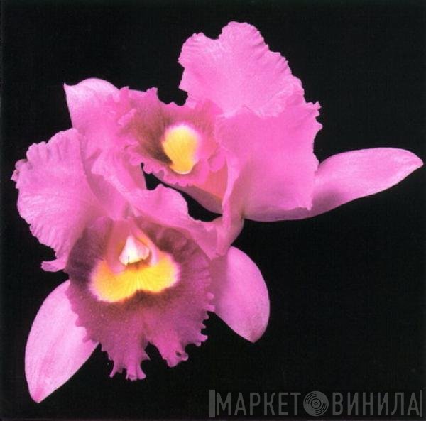 Opeth  - Orchid