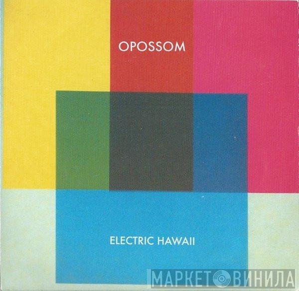 Opossom - Electric Hawaii