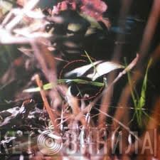 Ora  - Amalgam