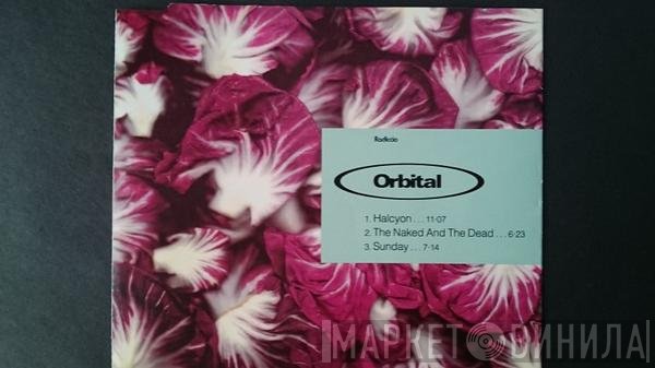 Orbital  - Radiccio