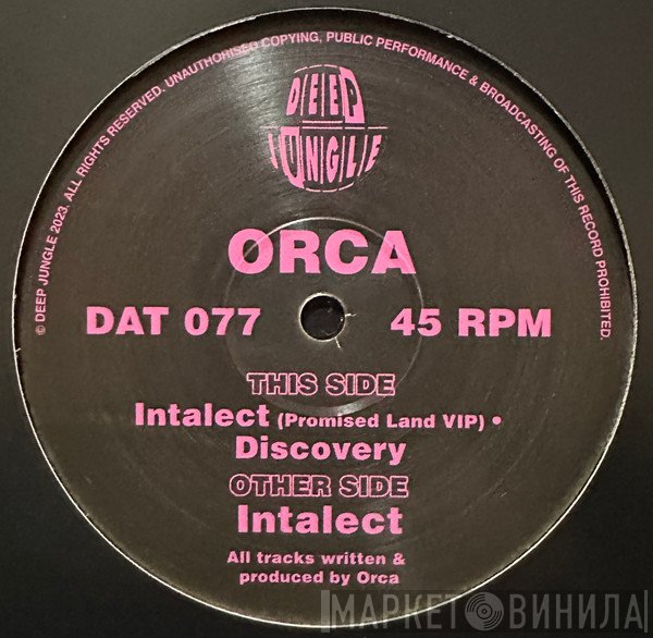 Orca  - Intalect / Intalect (Promised Land VIP) / Discovery