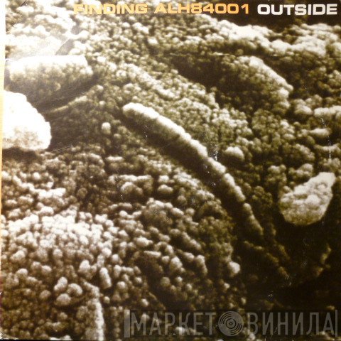 Outside - Finding ALH84001