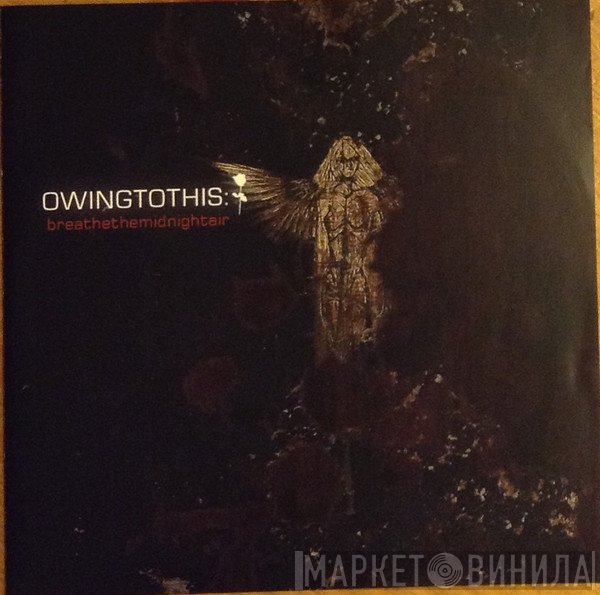 Owingtothis - Breathethemidnightair