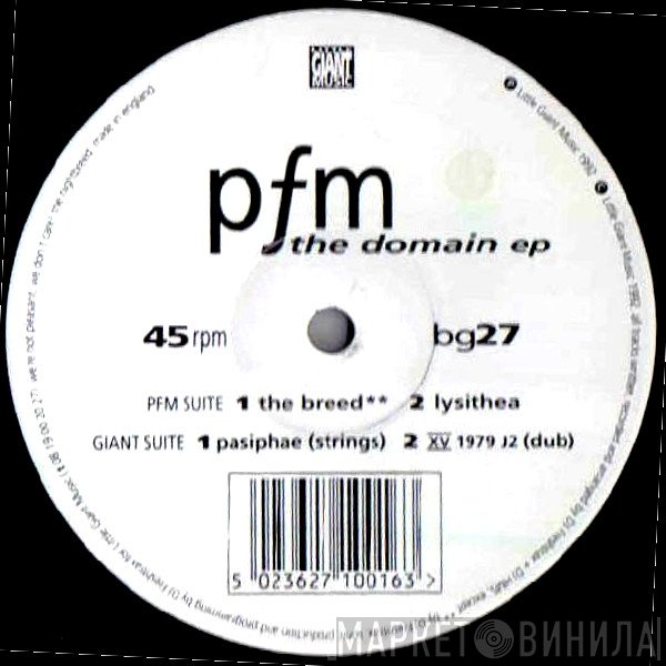PFM  - The Domain EP