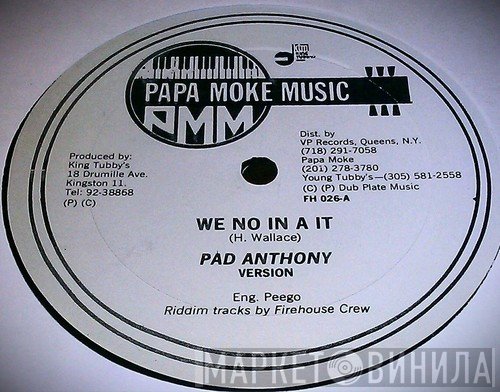 Pad Anthony - We No In A It / Dollar Sign