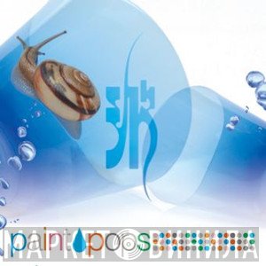 シド  - Paint Pops