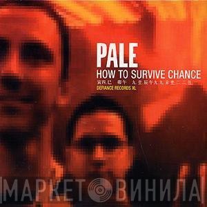 Pale  - How To Survive Chance