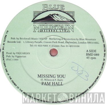 Pam Hall - Missing You