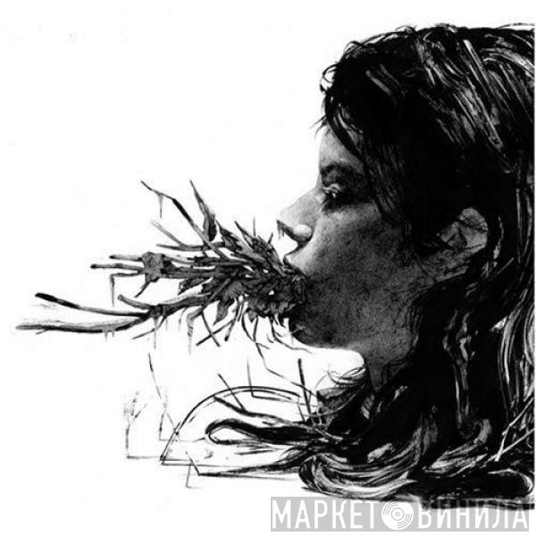 Parenthetical Girls  - Entanglements