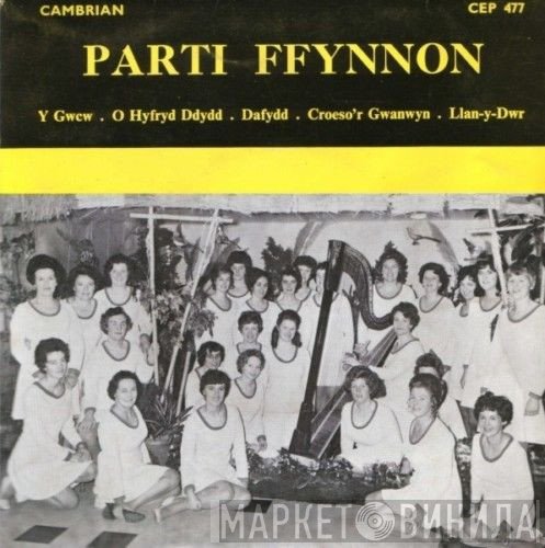 Parti Ffynnon - Parti Ffynnon