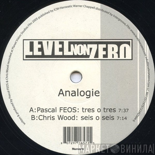 Pascal F.E.O.S. / Chris Wood  - Analogie