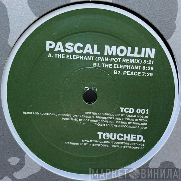Pascal Mollin  - The Elephant