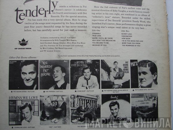 Pat Boone  - Tenderly