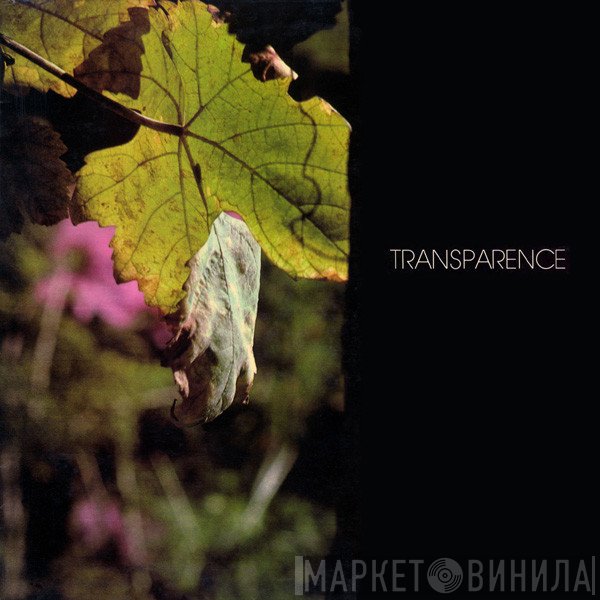 Patrick Vasori, Jan Yrssen - Transparence