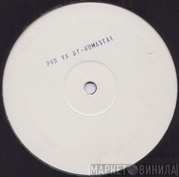 Paul van Dyk, BT - Namastai