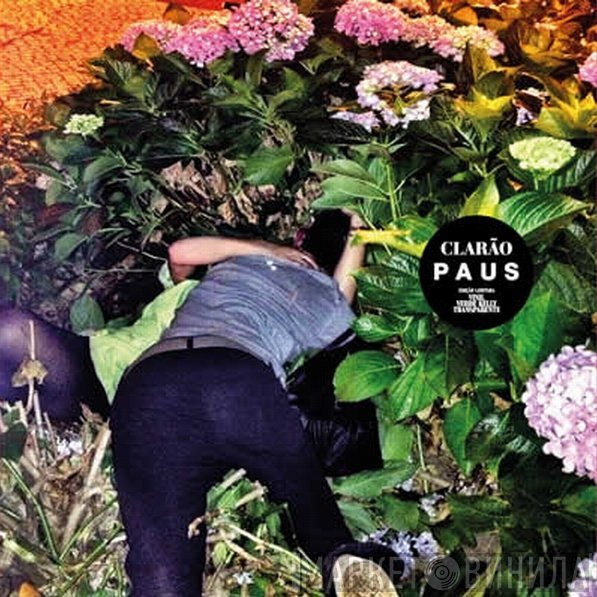 Paus  - Clarão
