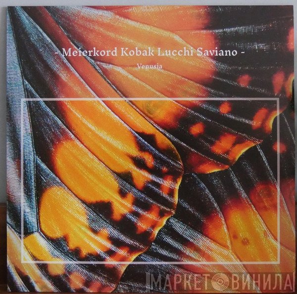 Pawel Kobak, Marco Lucchi, Henrik Meierkord, Rocco Saviano - Venusia