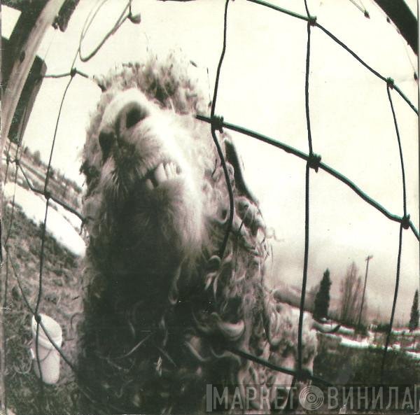 Pearl Jam  - Vs.