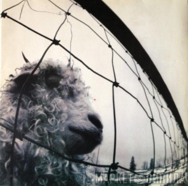 Pearl Jam  - Vs