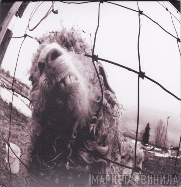 Pearl Jam  - Vs