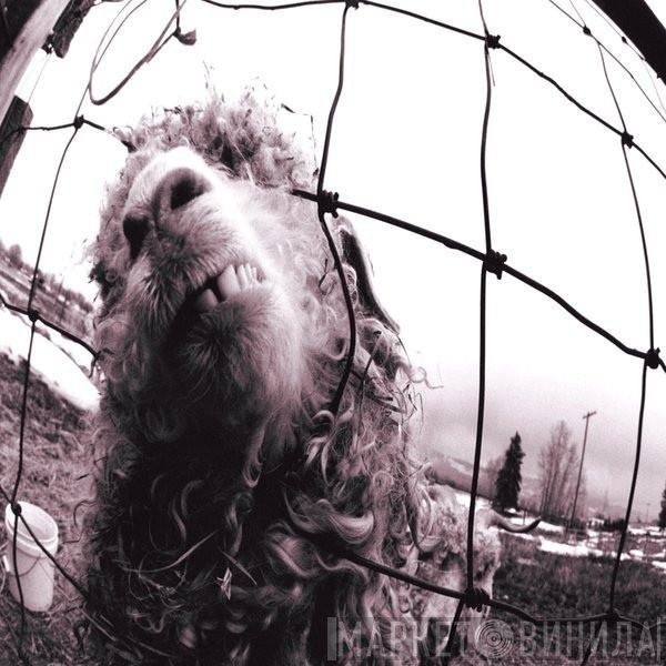 Pearl Jam  - Vs.