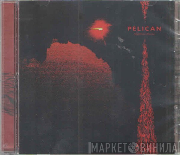 Pelican  - Nighttime Stories